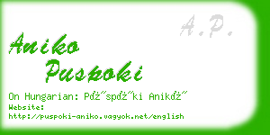 aniko puspoki business card